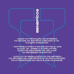 B Complex 120 Cápsulas Vitaminas do Complexo B Essential Nutrition - Essential Nutrition - Viva Nutrição