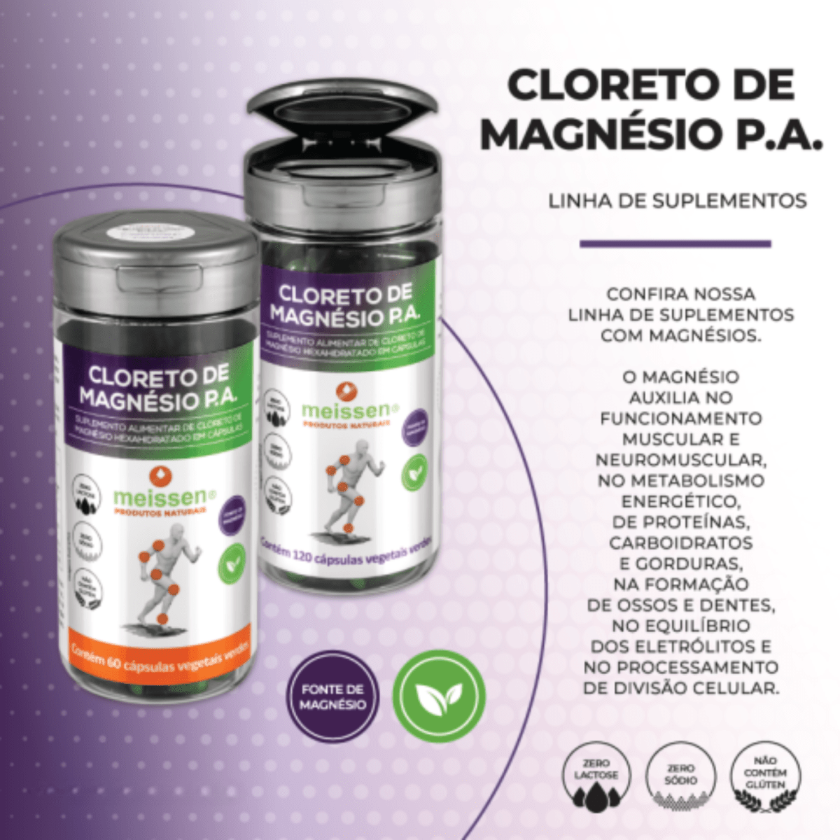 Cloreto de Magnésio P A 60 Cápsulas Meissen - Meissen - Viva Nutrição